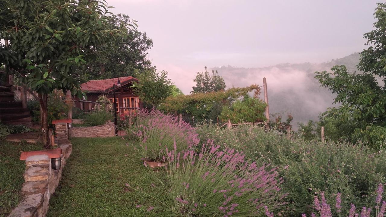 Magiche Langhe Bed & Breakfast Paroldo ภายนอก รูปภาพ