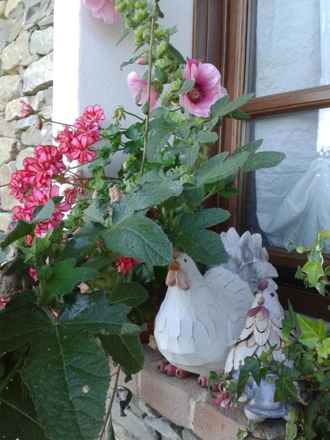 Magiche Langhe Bed & Breakfast Paroldo ภายนอก รูปภาพ