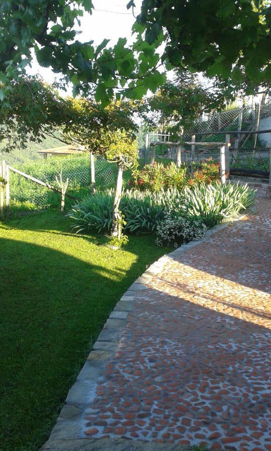 Magiche Langhe Bed & Breakfast Paroldo ภายนอก รูปภาพ
